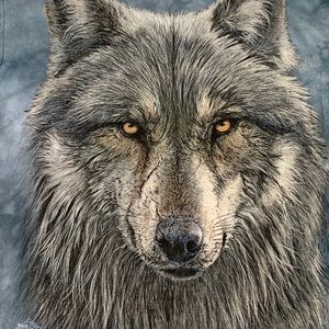 Jeremy Pull 2016 Wolf T-Shirt